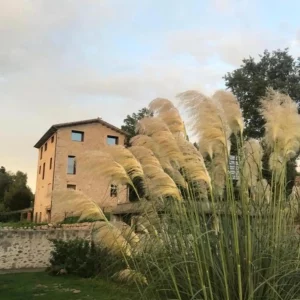 PHOTO-2025-07-01-14-32-37(4)